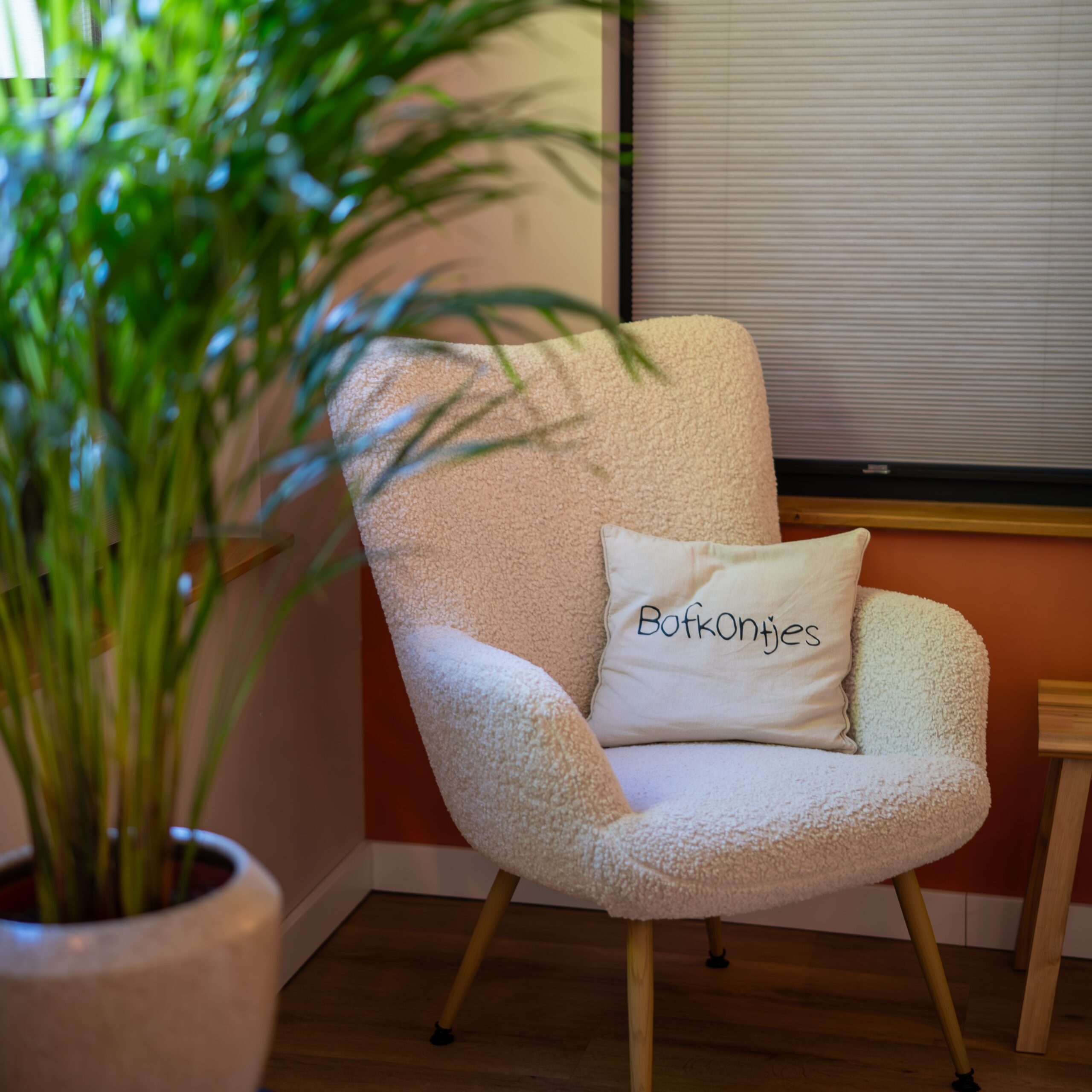 Bofkontjes-Babypraktijk-Bergen – Coaching en begeleiding Bofkontjes-Babypraktijk-Bergen - Coaching en begeleiding